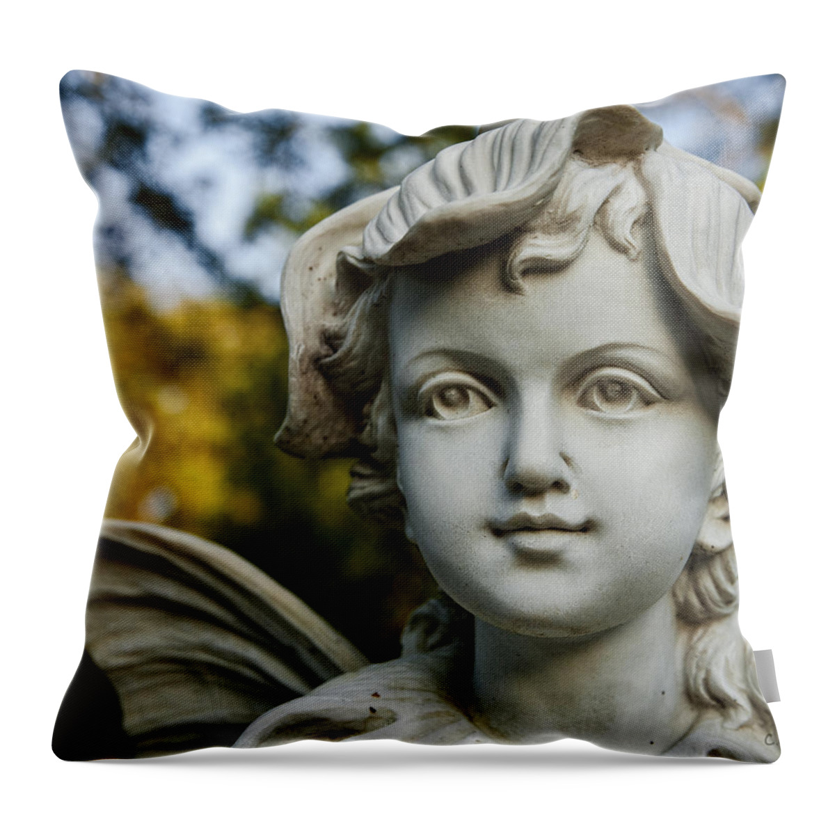 Garden Throw Pillow featuring the photograph Garden Fairy by Christopher Holmes