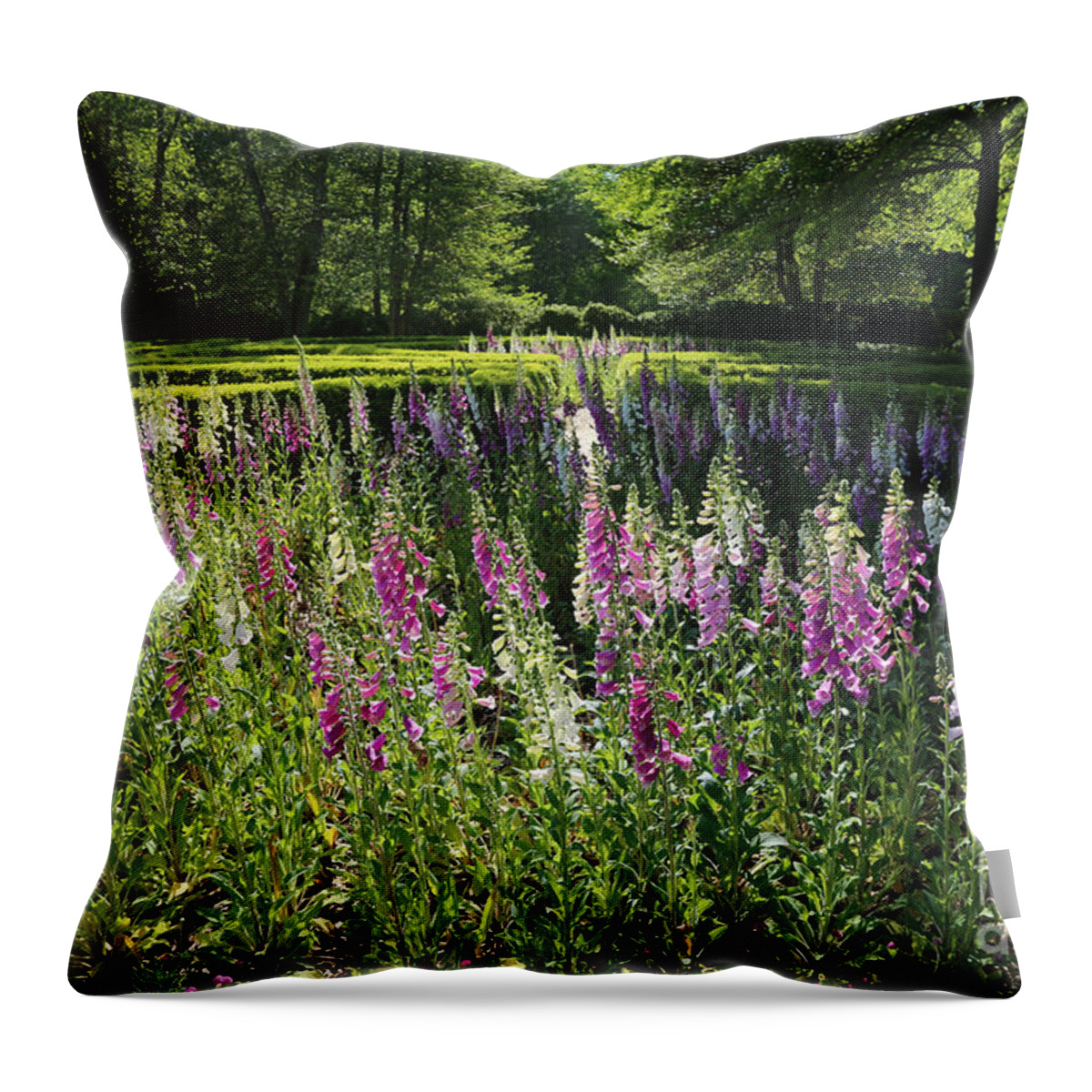 Governor's Palace Throw Pillow featuring the photograph Garden Foxgloves by Lara Morrison