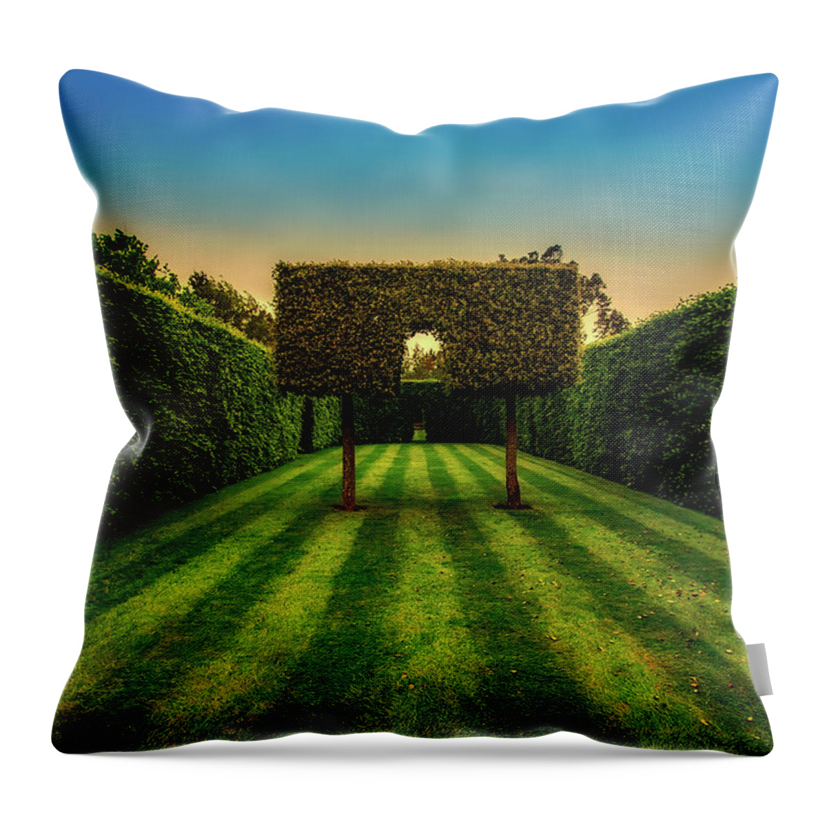 Garden Throw Pillow featuring the photograph Garden Hedge Beauty by Mountain Dreams