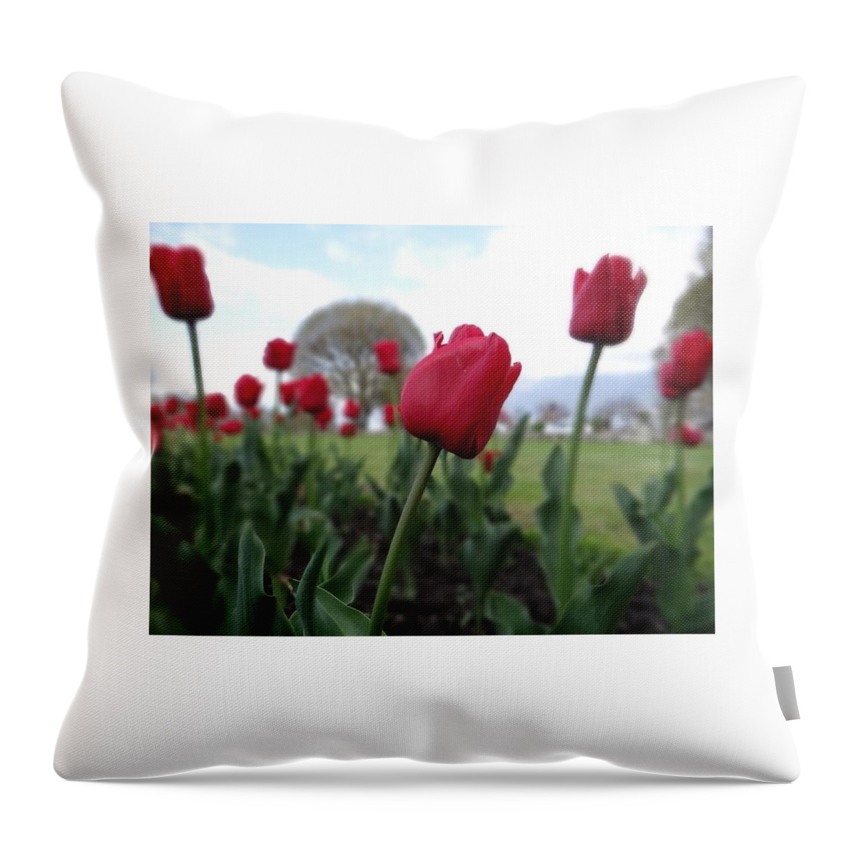 Landscape Throw Pillow featuring the photograph Garden by Khushboo N