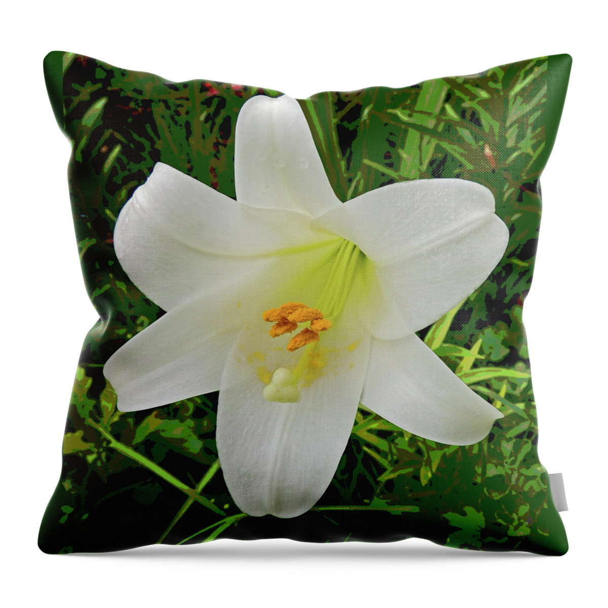Flower Throw Pillow featuring the photograph Garden Lily Posterized Background by Marian Bell