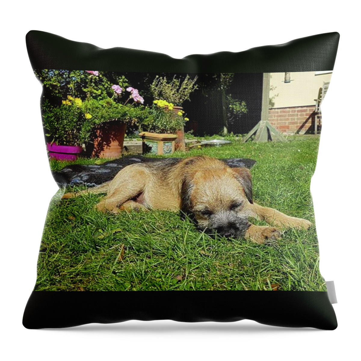 Dog Throw Pillow featuring the photograph Garden Naps by Rowena Tutty