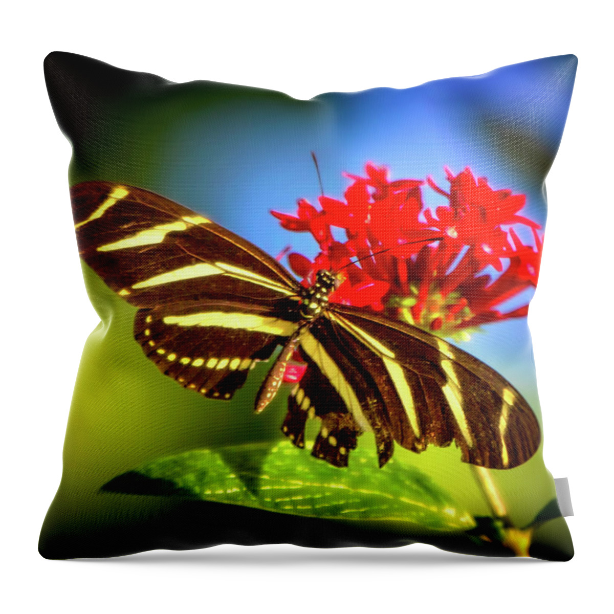 Zebra Longwing Butterfly Throw Pillow featuring the photograph Garden of the Zebra by Mark Andrew Thomas