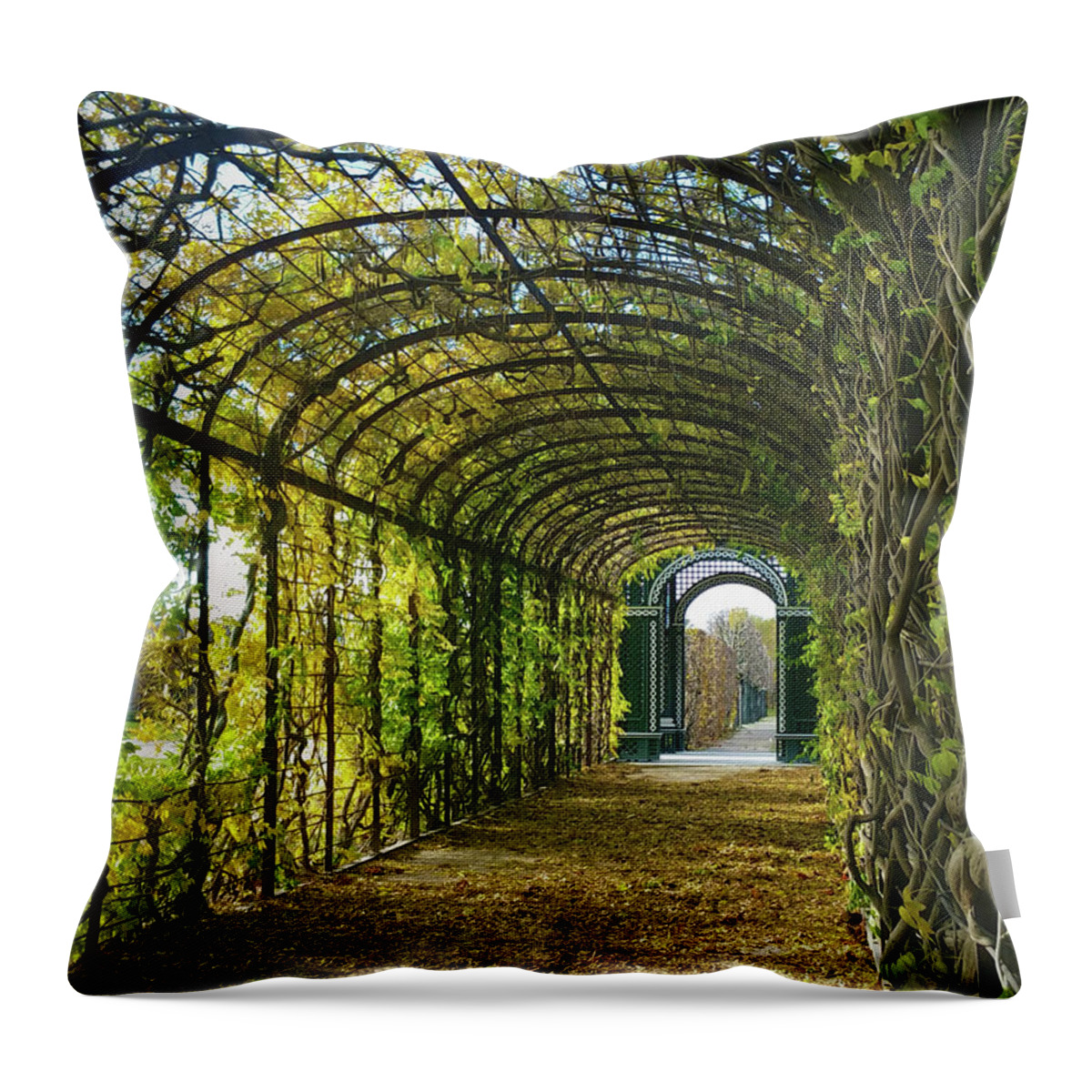 Garden Throw Pillow featuring the photograph Garden Path in Schonbrunn Palace, Vienna by Marguerita Tan