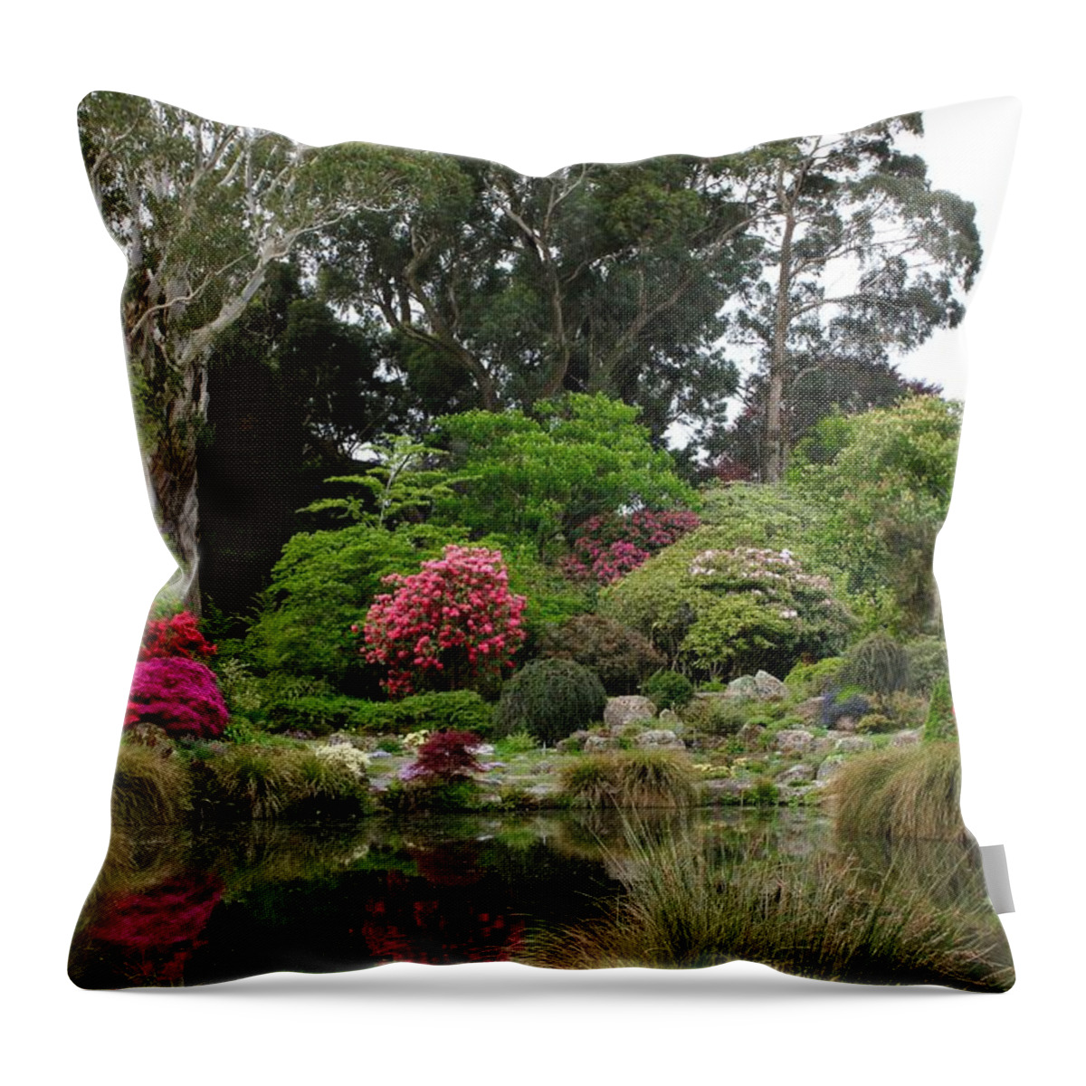 Christchurch Throw Pillow featuring the photograph Garden Reflection by Sarah Lilja