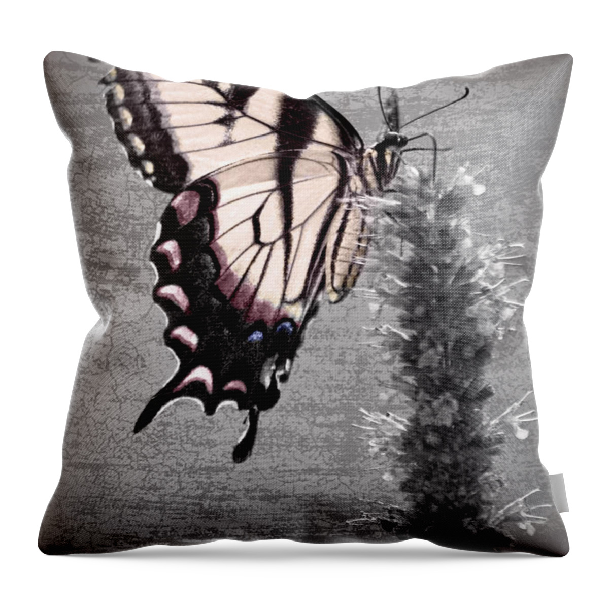 Butterfly Throw Pillow featuring the photograph Garden Visitor Mystery by Leda Robertson