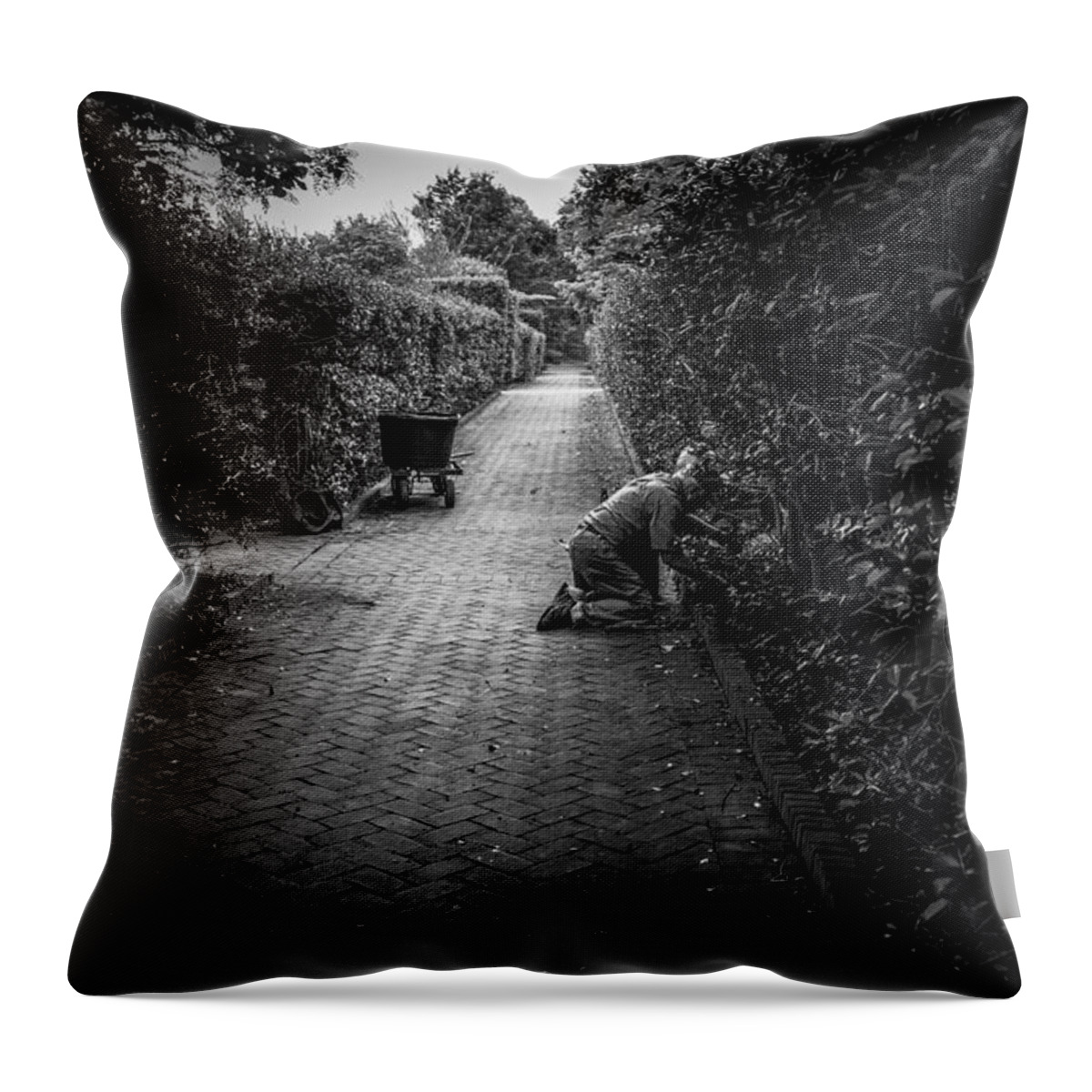 Throw Pillow featuring the photograph Gardener Of The Soul by Rodney Lee Williams
