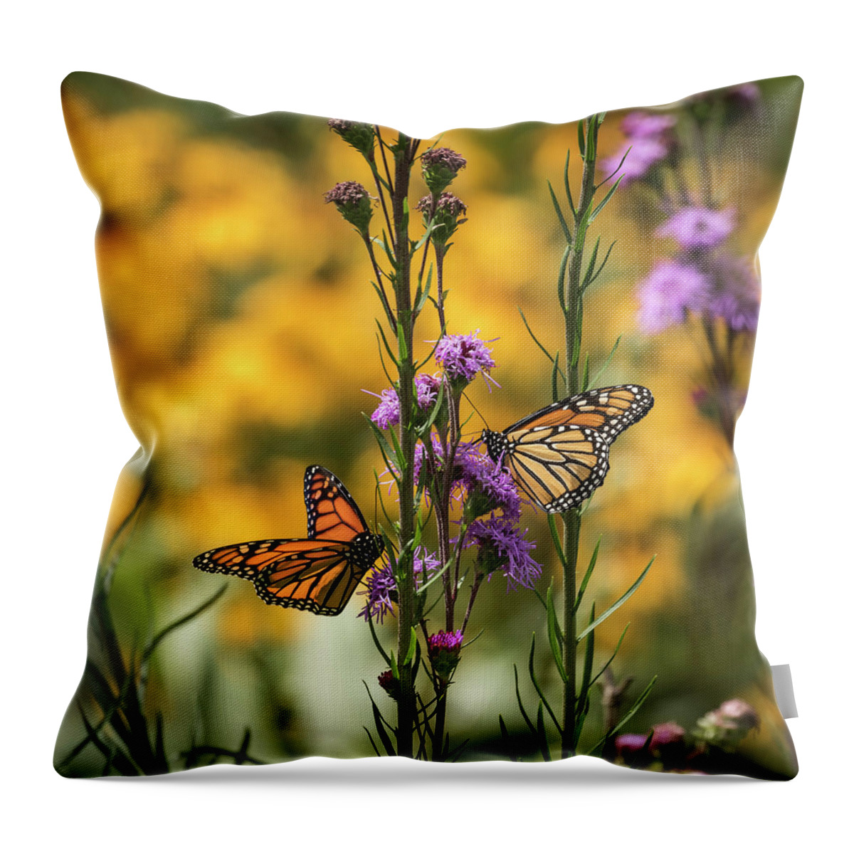 Monarch Butterflies Throw Pillow featuring the photograph Gardeners Dream by Thomas Young