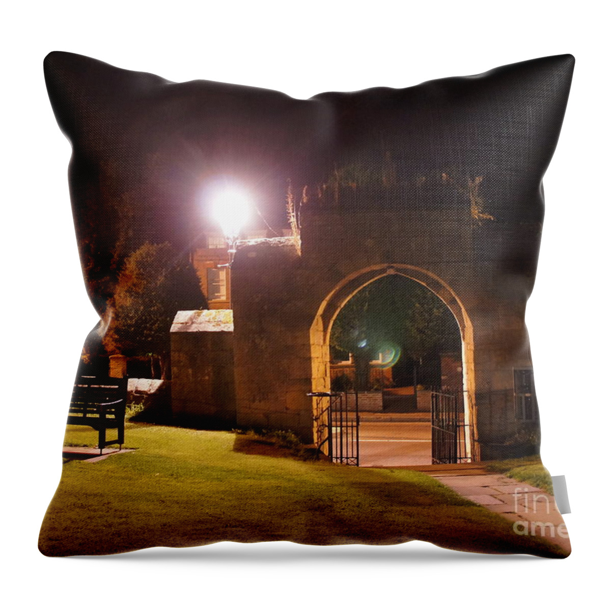 Gate Throw Pillow featuring the photograph Gate. by Elena Perelman