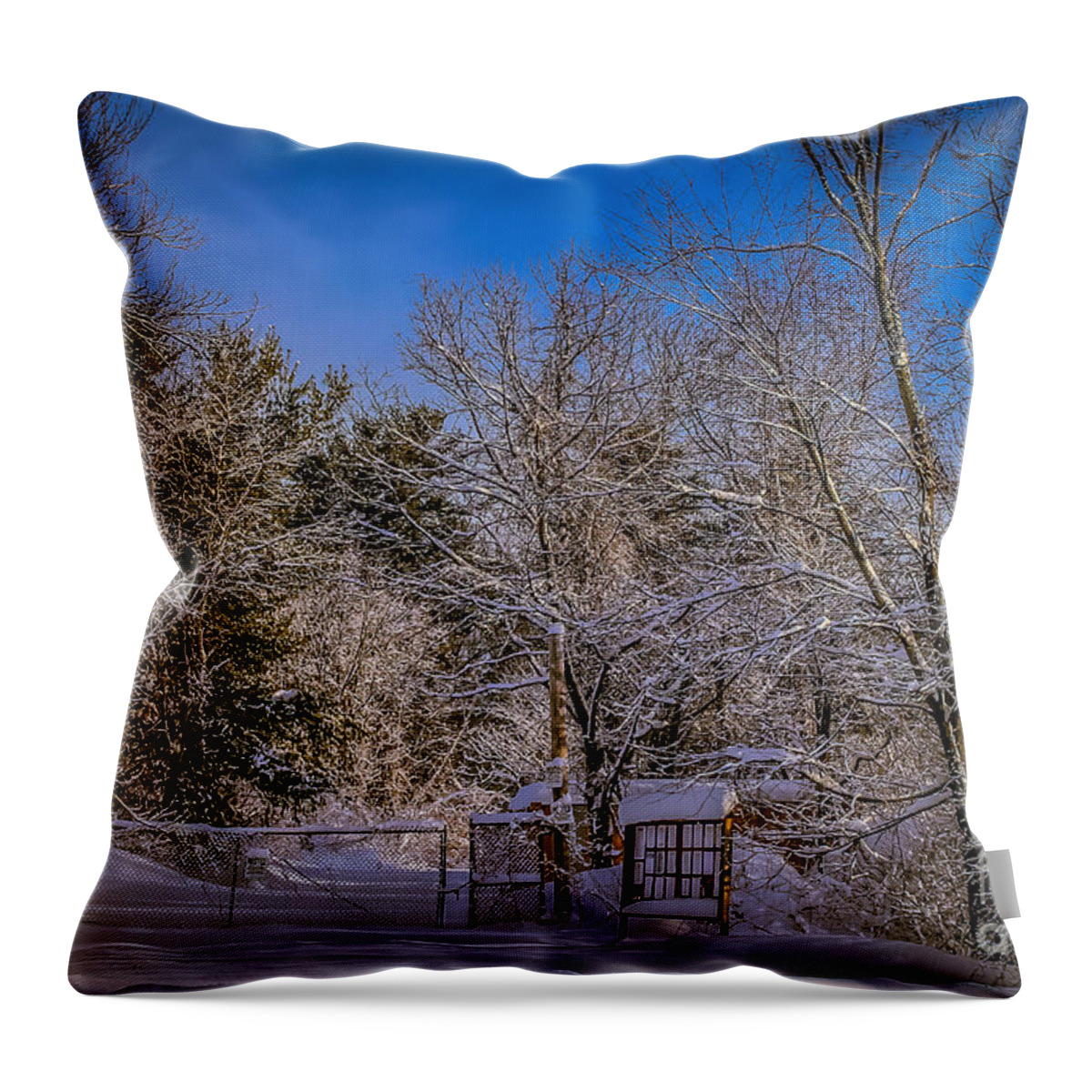Winter Throw Pillow featuring the photograph Gates closed by Claudia M Photography