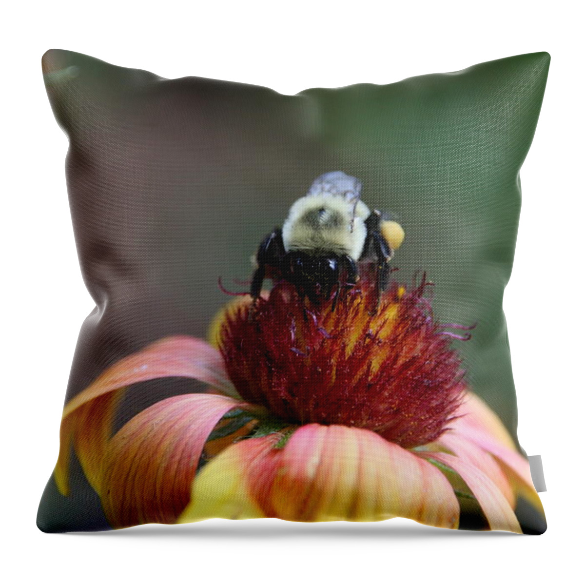 Bee Throw Pillow featuring the photograph Gatherer by Wendy Coulson