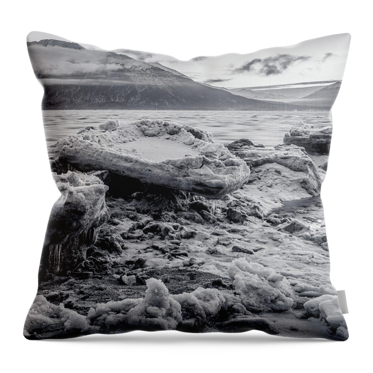 Alaska Throw Pillow featuring the photograph Gathering Bergs by Tim Newton