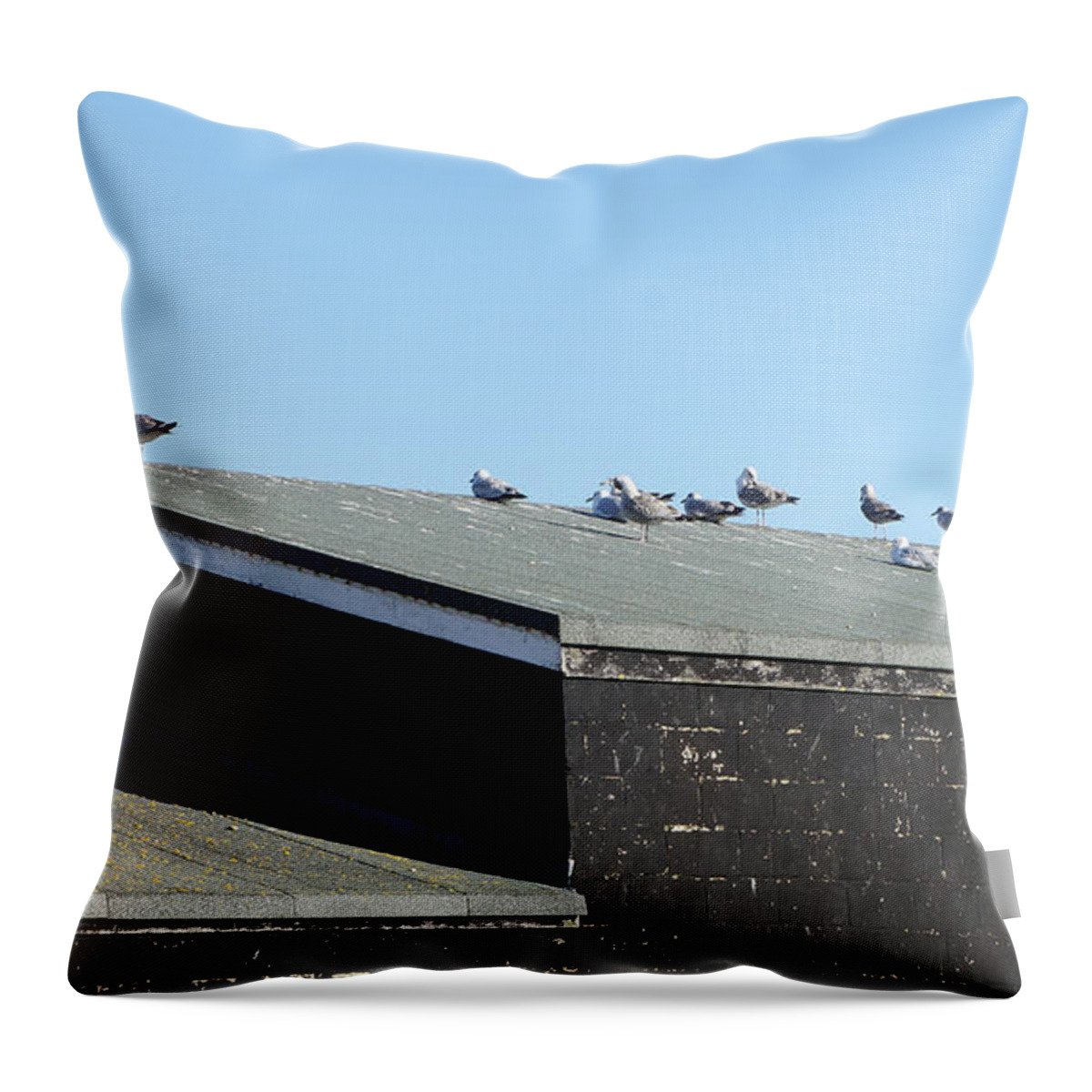 Gathering Throw Pillow featuring the photograph Gathering by Pedro Fernandez