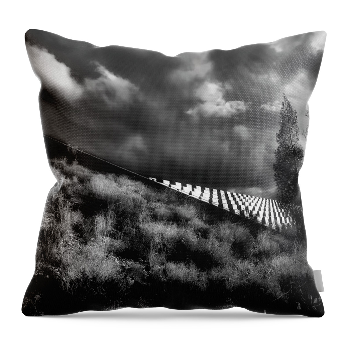 Albuquerque Throw Pillow featuring the photograph Gathering Storm by Mark David Gerson