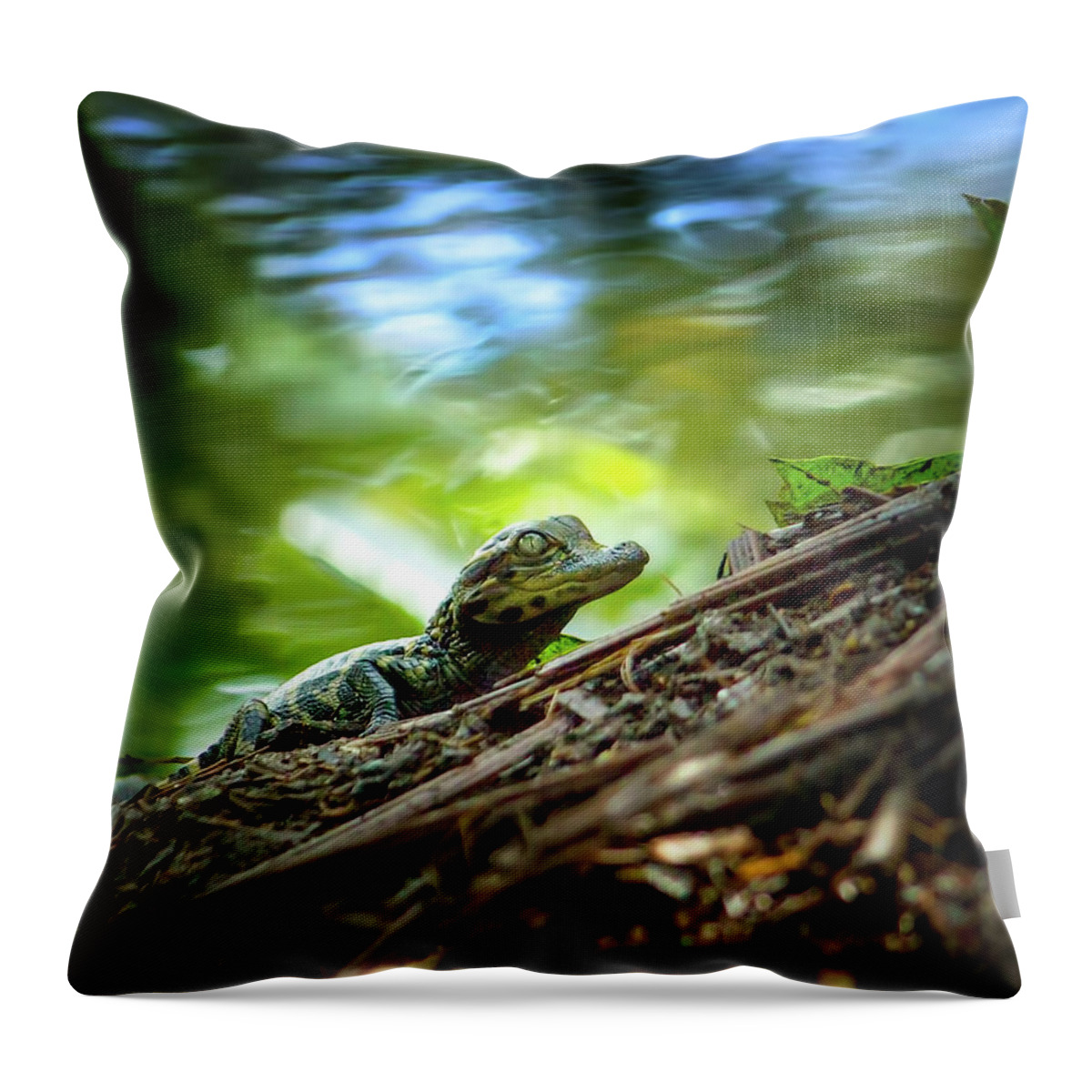 Alligator Throw Pillow featuring the photograph Gator Baby by Mark Andrew Thomas