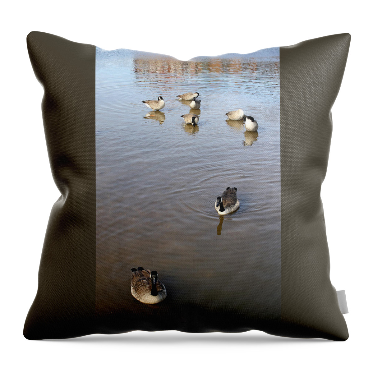 Geese Throw Pillow featuring the photograph Geese at Sundown by Ellen Tully