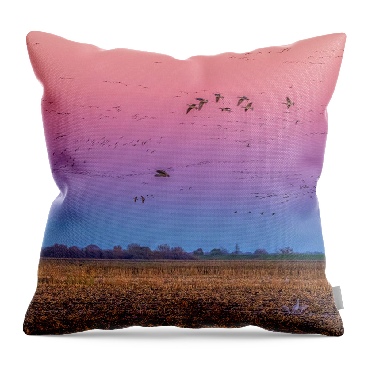 Landscape Throw Pillow featuring the photograph Geese Flying at Sunset by Marc Crumpler