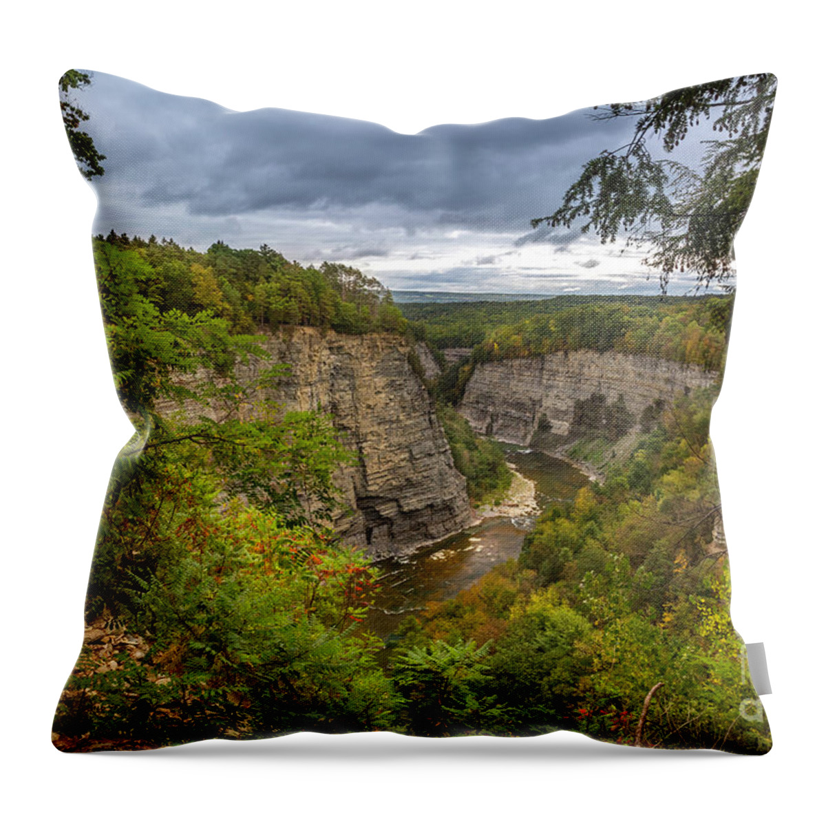 New York Throw Pillow featuring the photograph Genesee River Overlook by Karen Jorstad