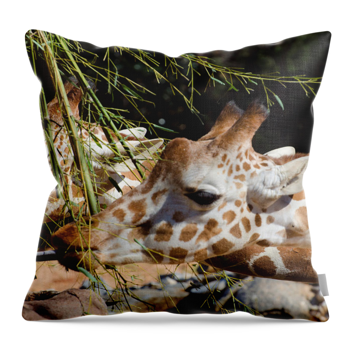 Giraffe Throw Pillow featuring the photograph Gentle Beauty by Donna Brown