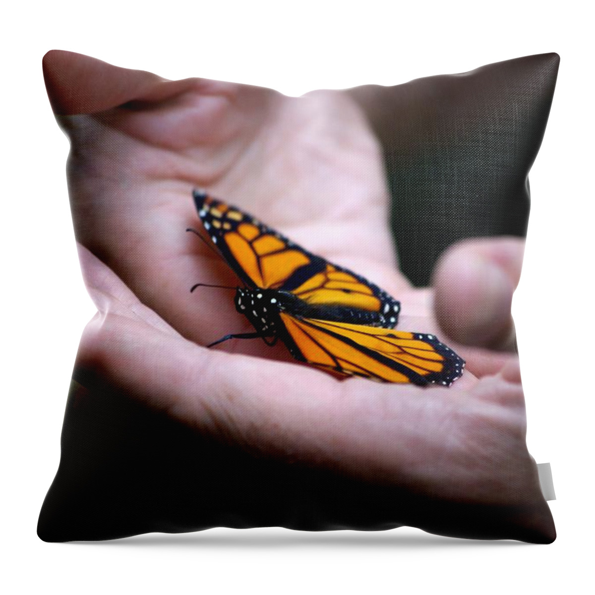 Butterfly Throw Pillow featuring the photograph Gentle Friend by Linda Mishler