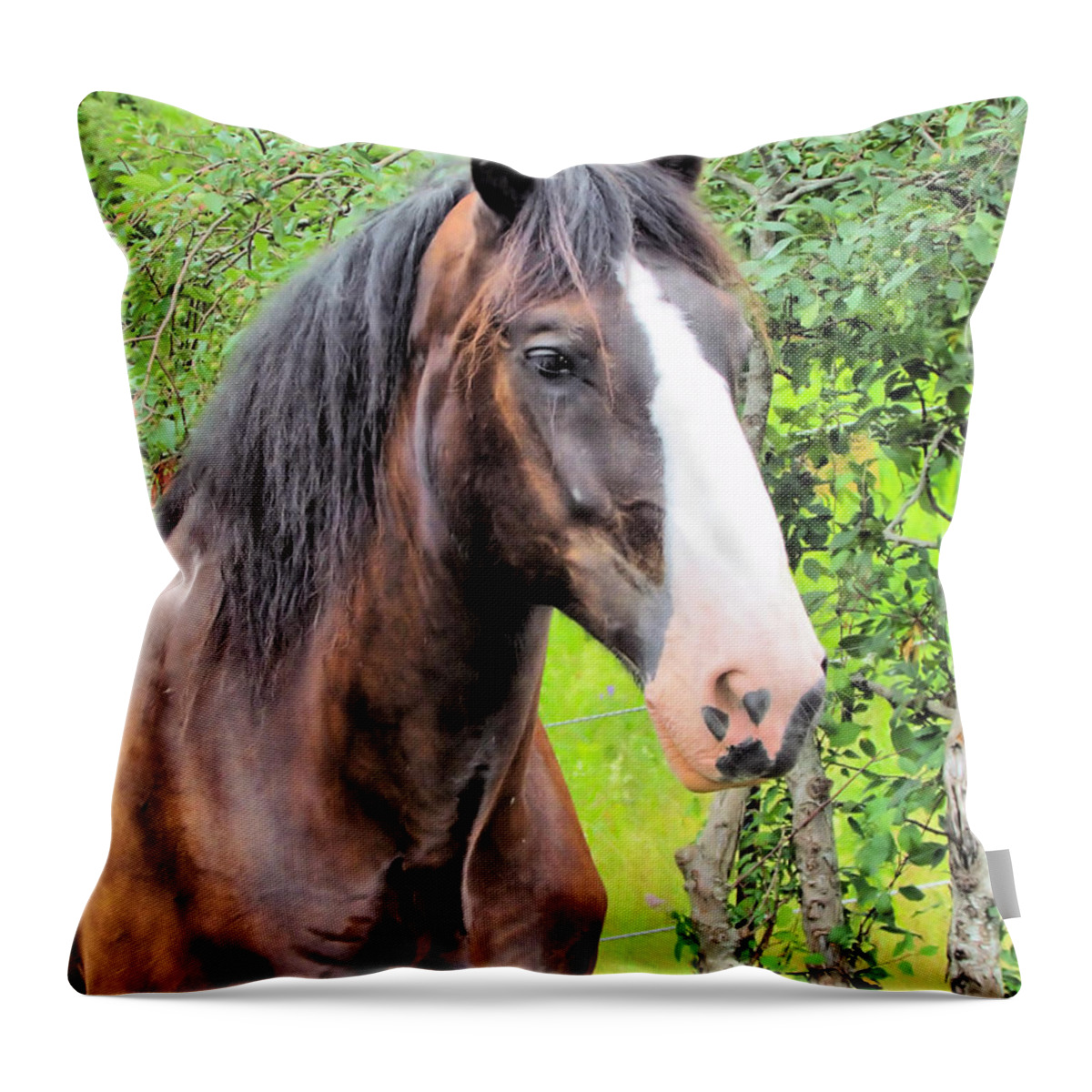 Shire Horse Throw Pillow featuring the photograph Gentle Soul by Elizabeth Dow