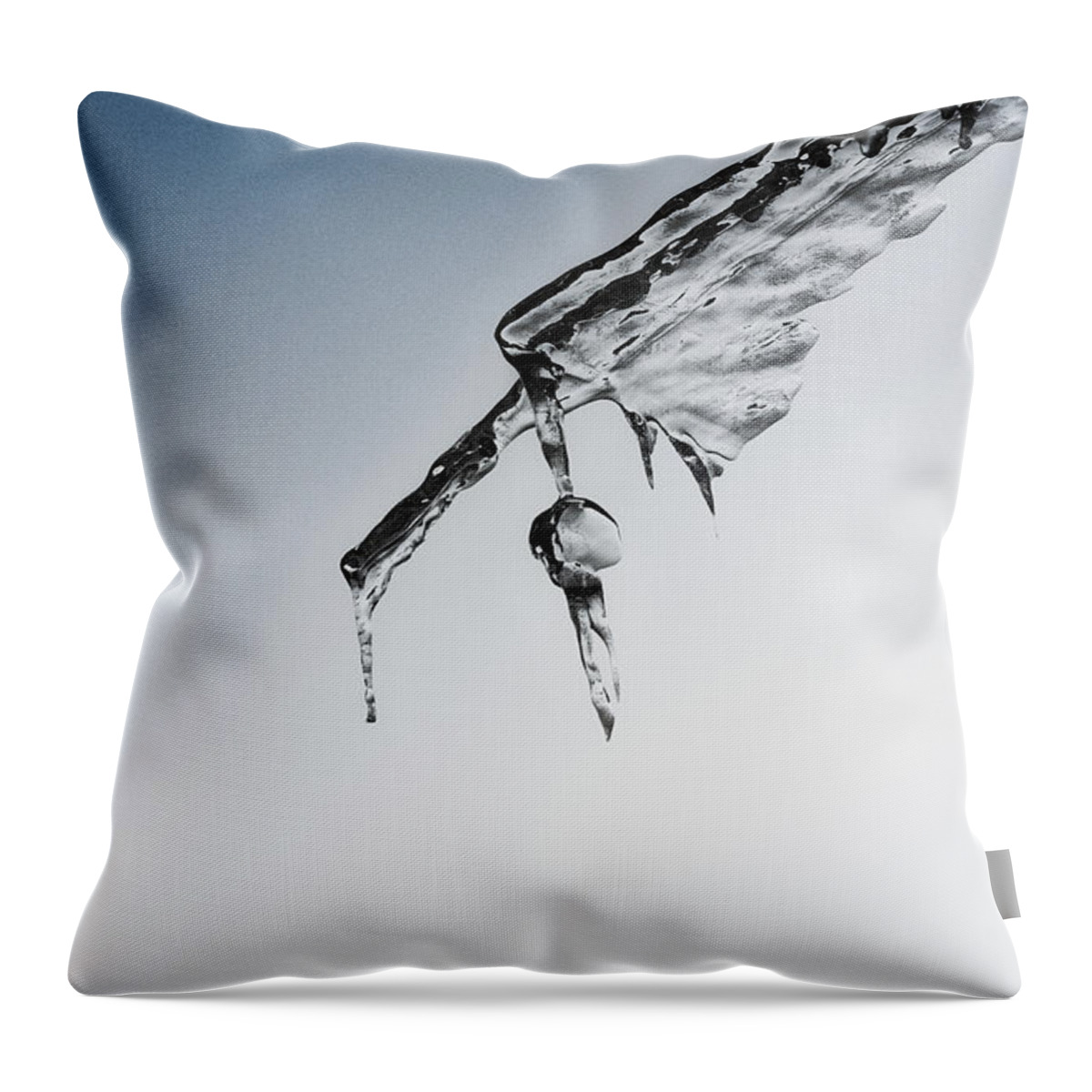 Ice Throw Pillow featuring the photograph Geometric Ice by Sue Capuano