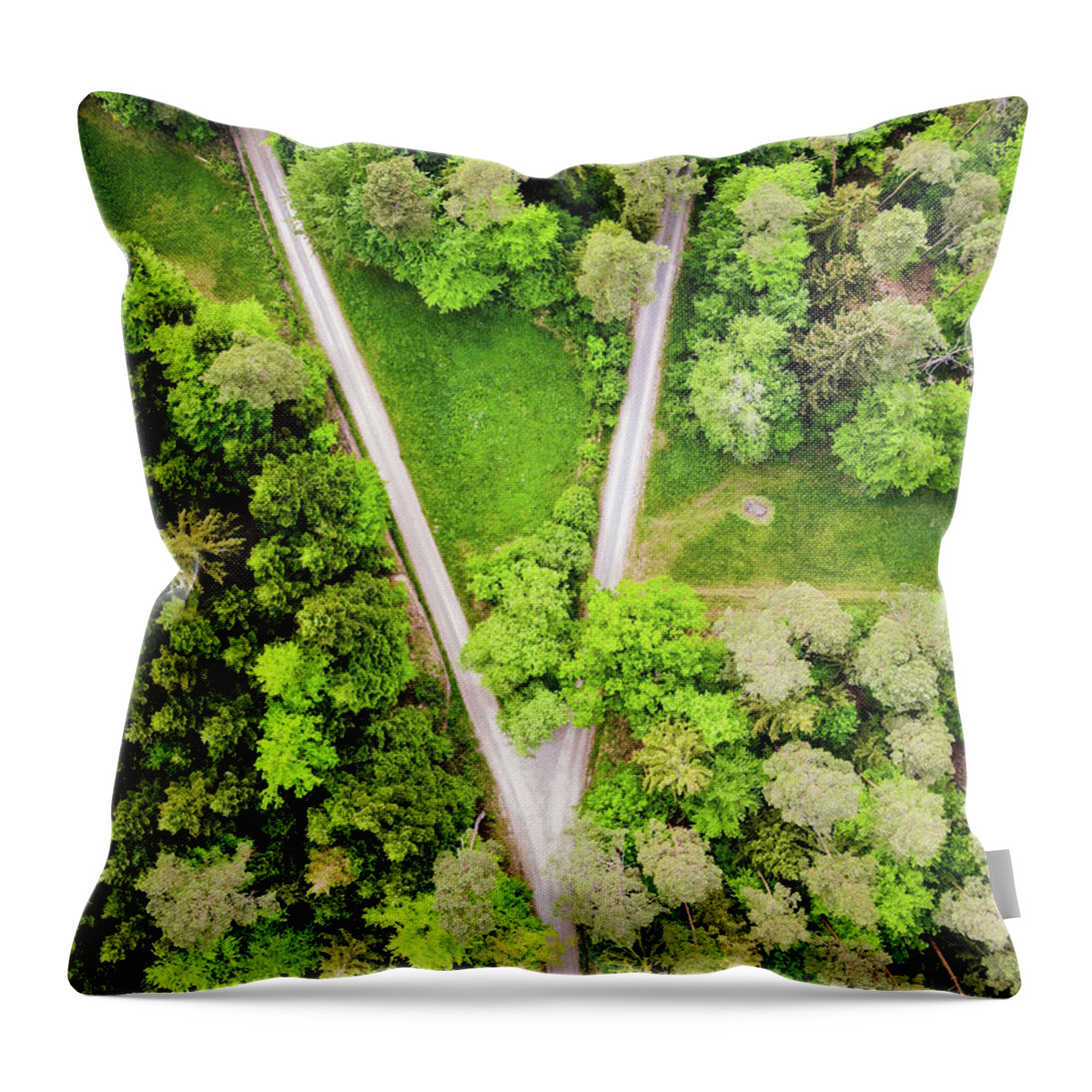 Forest Throw Pillow featuring the photograph Geometric Landscape 02 Forest Path by Matthias Hauser