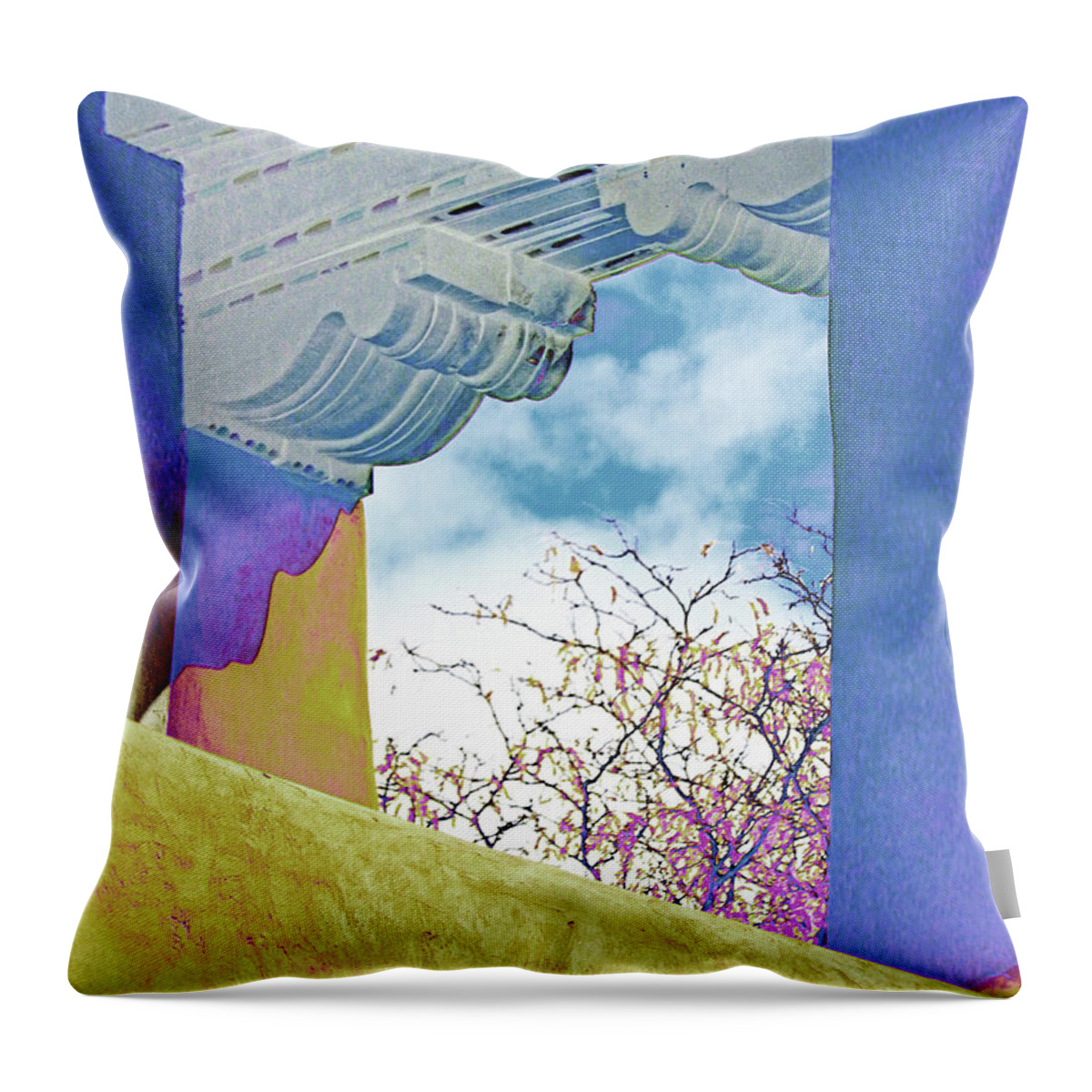 Window Throw Pillow featuring the digital art Georgias Vision by Ann Johndro-Collins