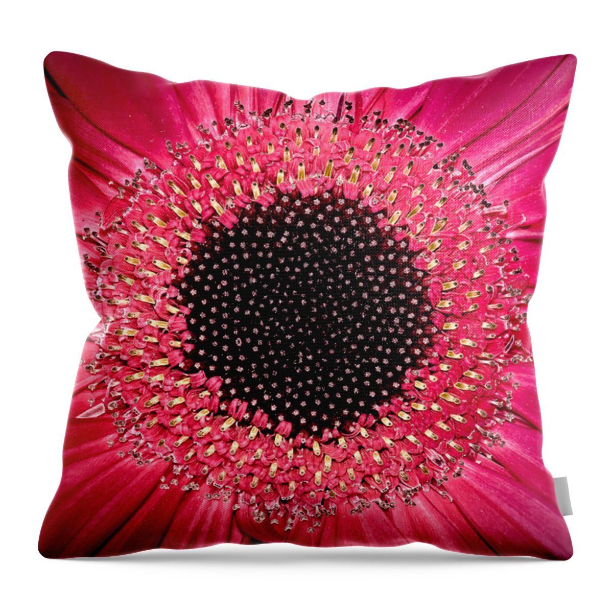 Flower Throw Pillow featuring the photograph Gerbera by Andreas Freund