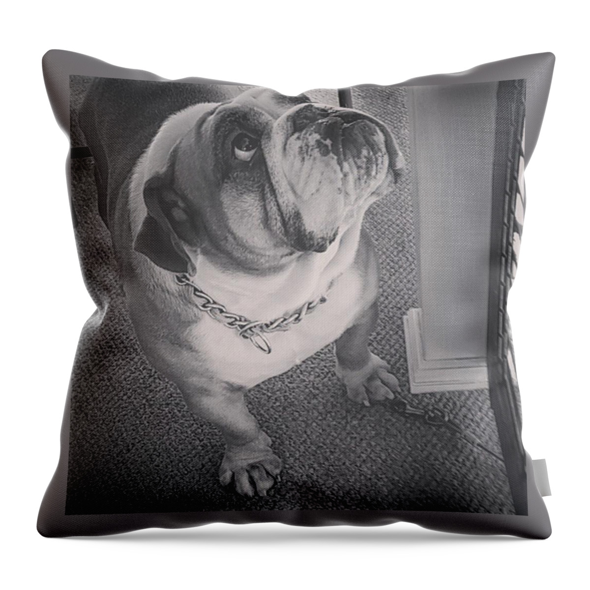 Beautiful Throw Pillow featuring the photograph Fall In Love With Me by Charlie Cliques