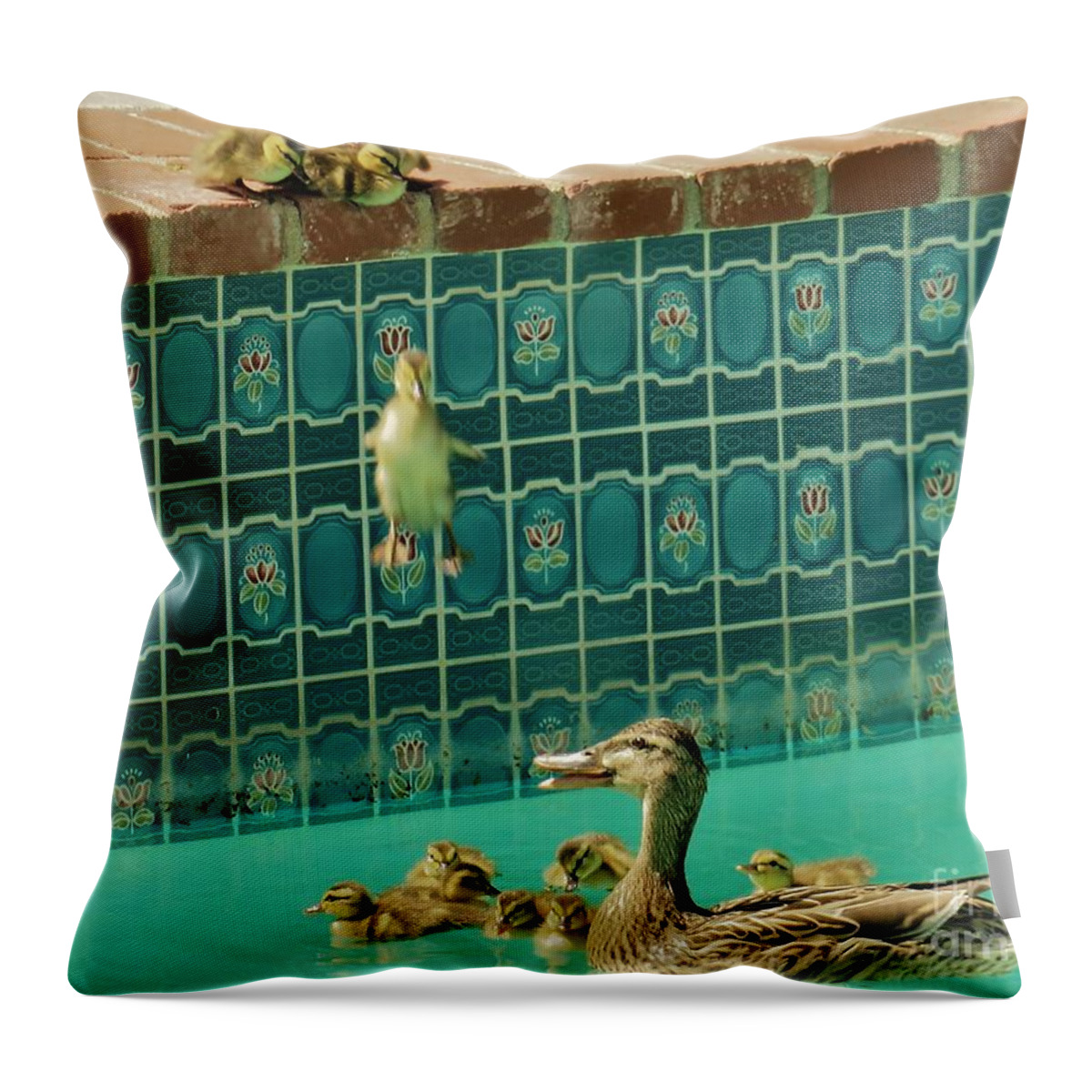 Duck Throw Pillow featuring the photograph Geronimo by Laurie Morgan