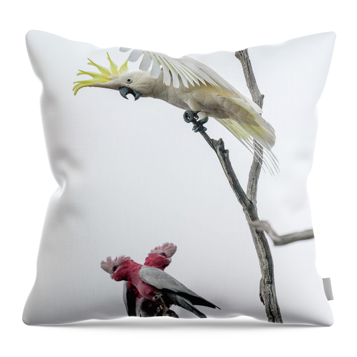 Bird Throw Pillow featuring the photograph Get Off My Perch by Werner Padarin