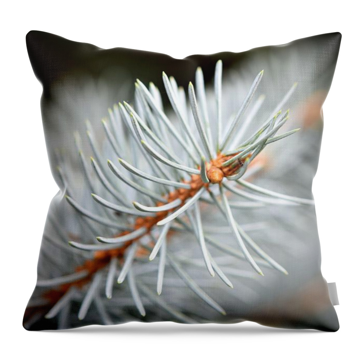 Tree Throw Pillow featuring the photograph Get the Point? by Kurt Keller