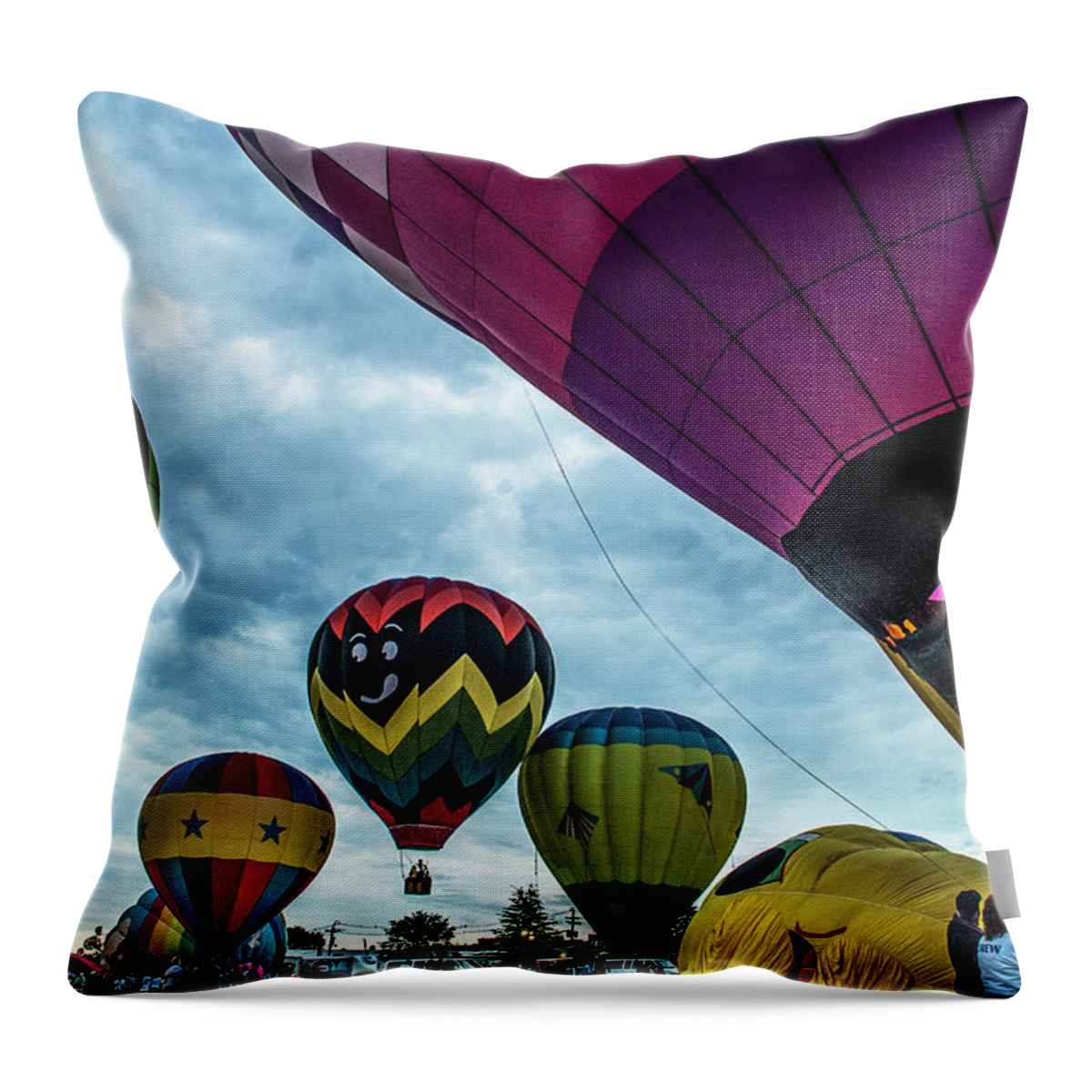 Franklin County Photographer Throw Pillow featuring the photograph Getting Ready for Flight II by Alana Ranney
