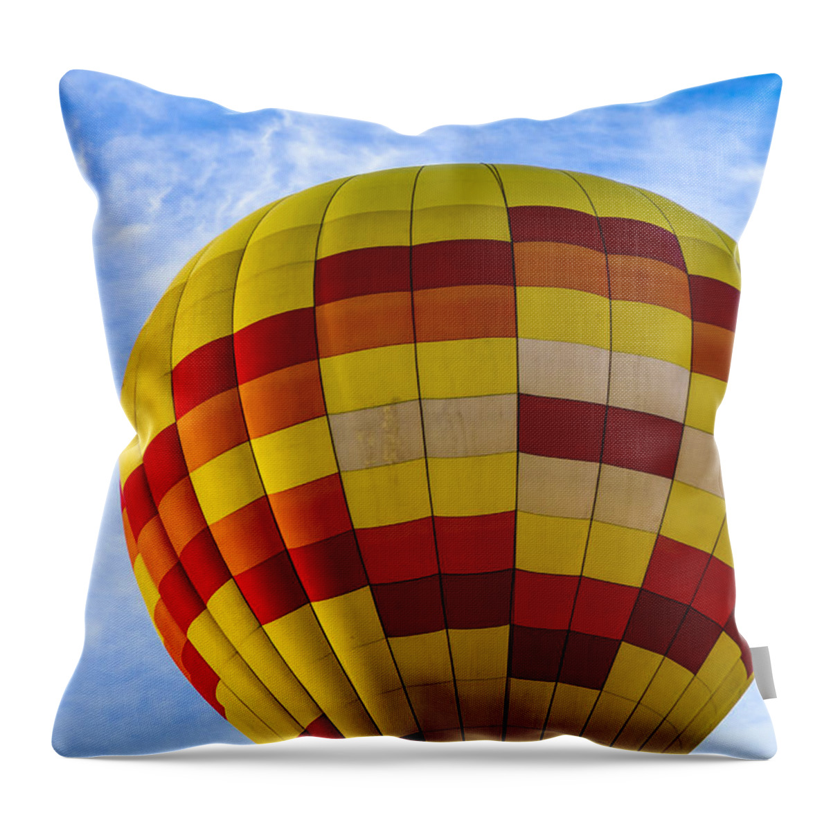 Colorado Throw Pillow featuring the photograph Getting Ready for Take Off by Teri Virbickis