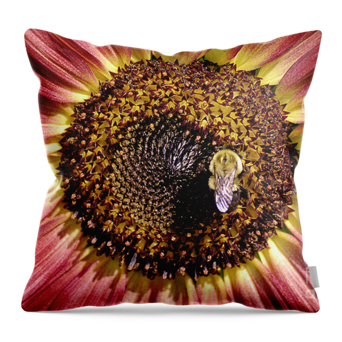 Garden Throw Pillow featuring the photograph Getting Some Sun by Randy Bodkins