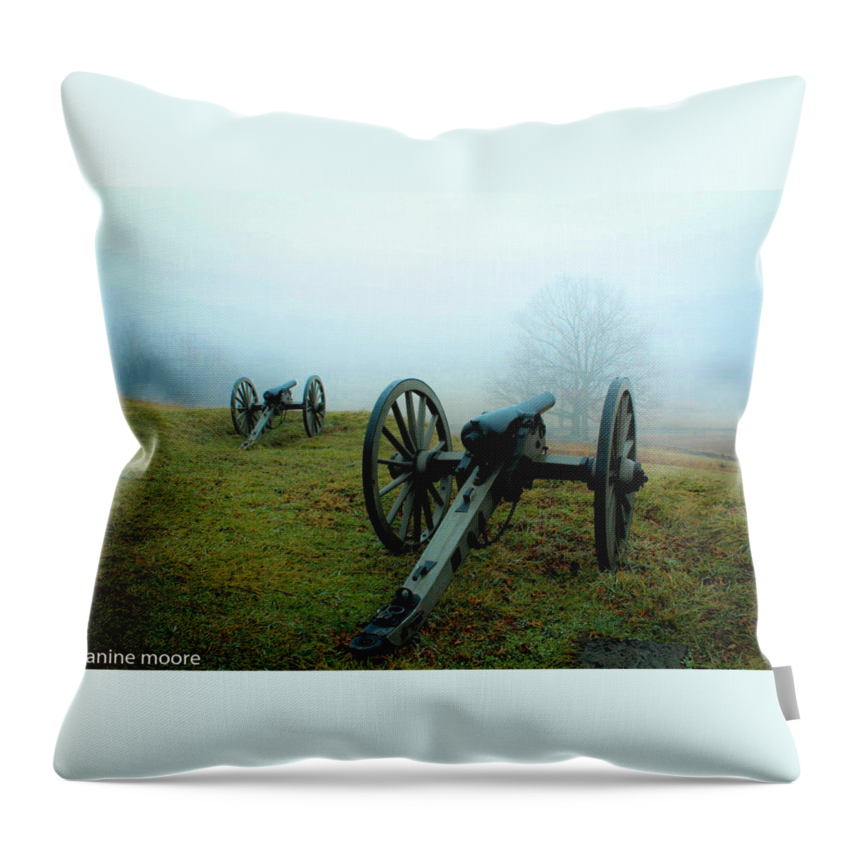 Canon Throw Pillow featuring the photograph Gettsburg Canon by Dr Janine Williams