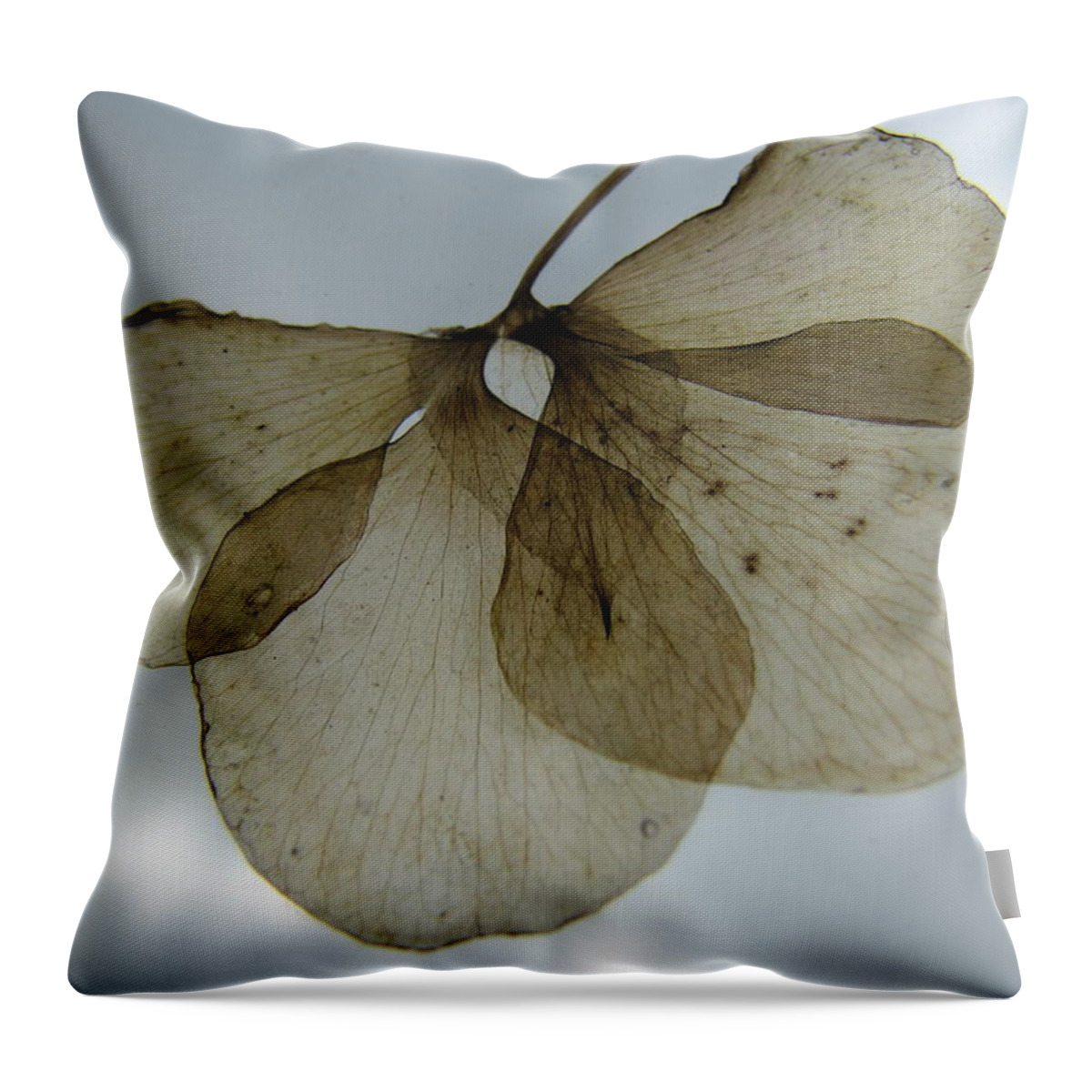 Ghostlike Throw Pillow featuring the photograph Ghost of a Flower by Mary Ellen Mueller Legault