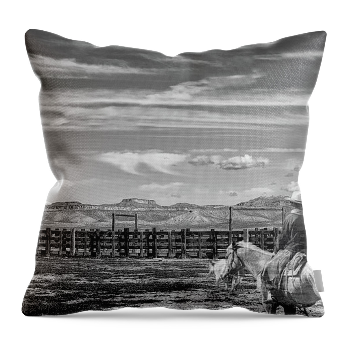 Black And White Landscape Throw Pillow featuring the photograph Ghost Rider by Jim Garrison
