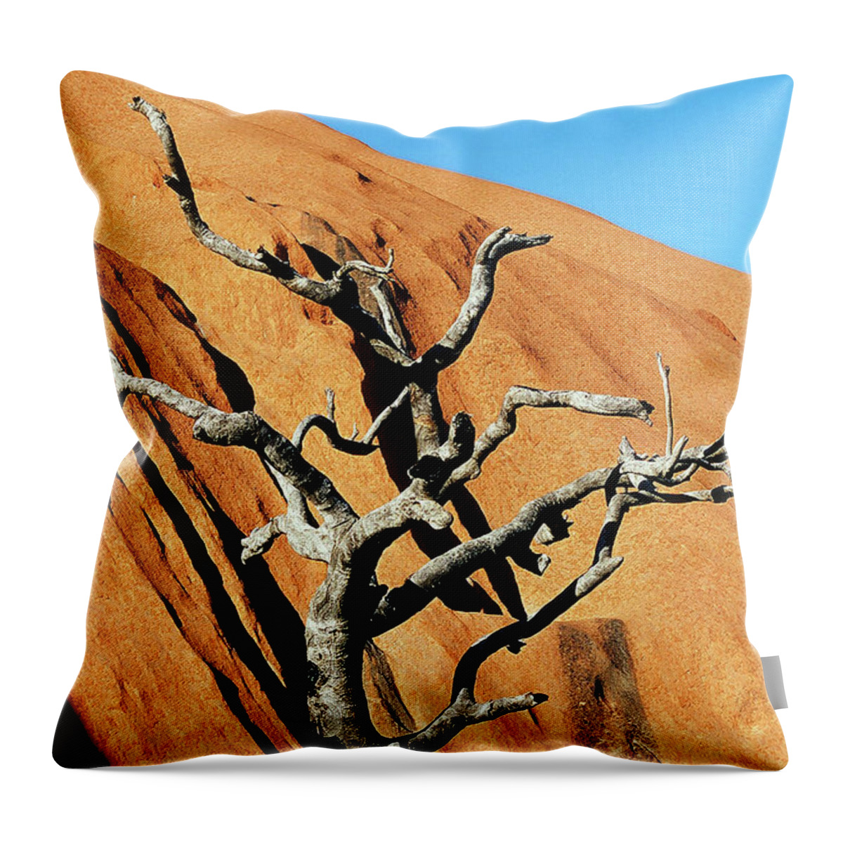 Tree Throw Pillow featuring the photograph Ghost Tree by Ted Keller