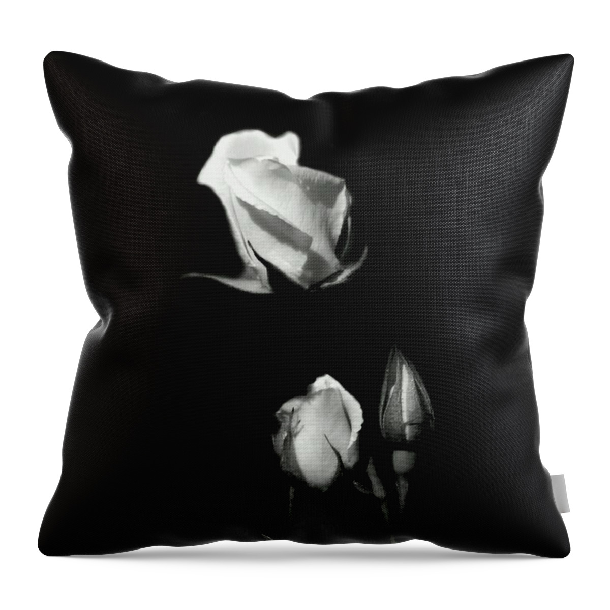 Black And White Throw Pillow featuring the photograph Out of the Darkness by Wild Thing
