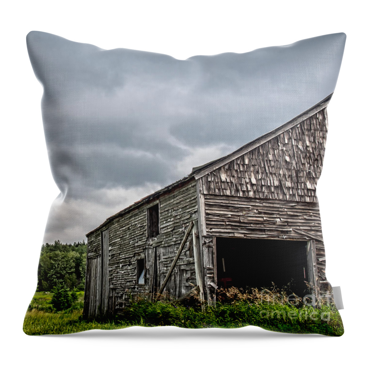 Barn Throw Pillow featuring the photograph Ghosts of Farming's Past 1 by James Aiken