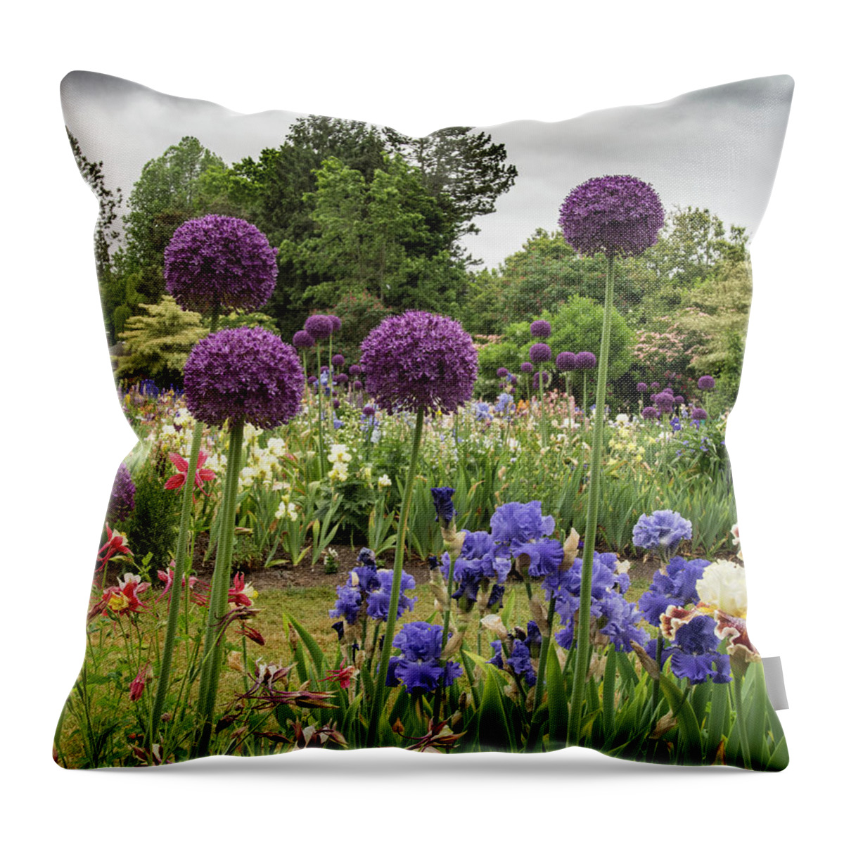 Jean Noren Throw Pillow featuring the photograph Giant Allium Guards by Jean Noren
