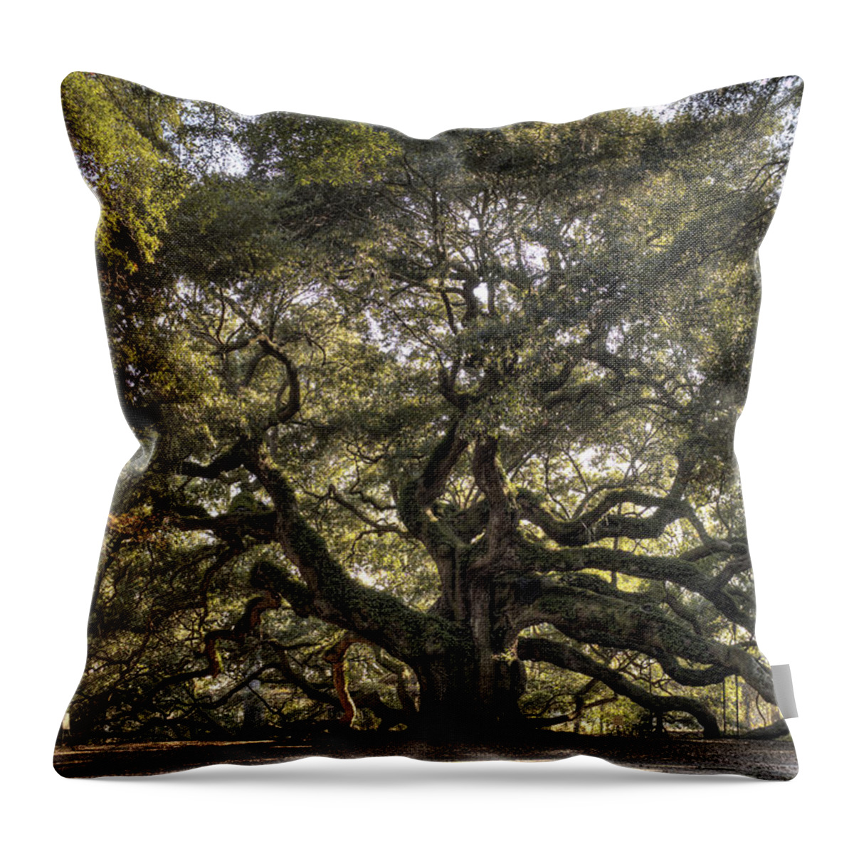 Angel Oak Tree Throw Pillow featuring the photograph Giant Angel Oak Tree Charleston SC by Dustin K Ryan