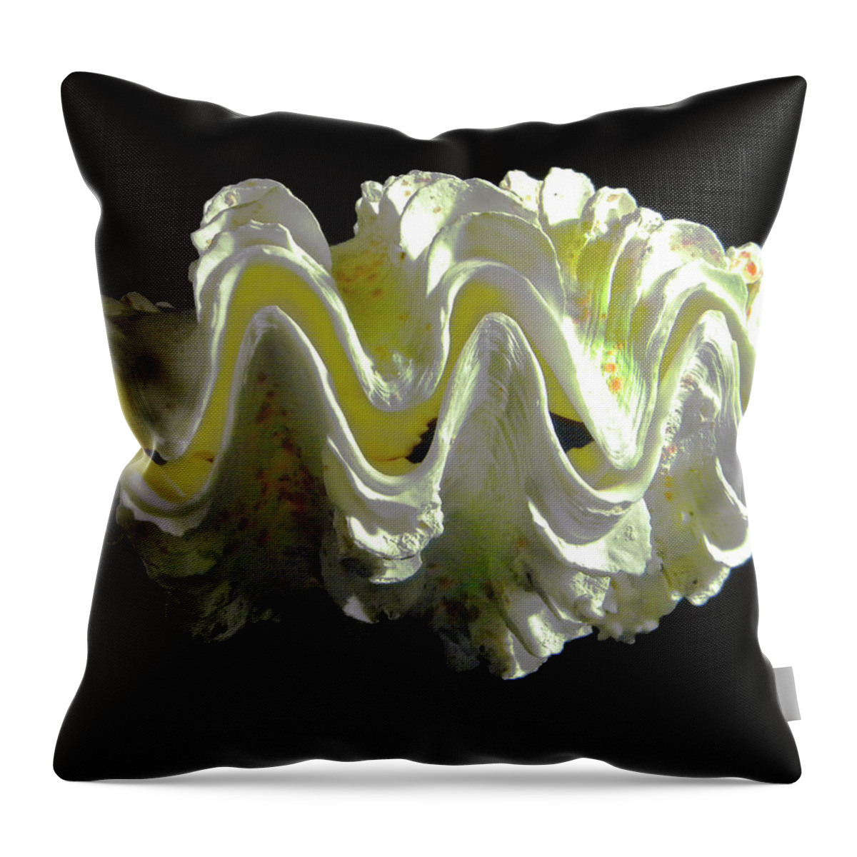 Frank Wilson Throw Pillow featuring the photograph Giant Frilled Clam Seashell Tridacna squamosa by Frank Wilson