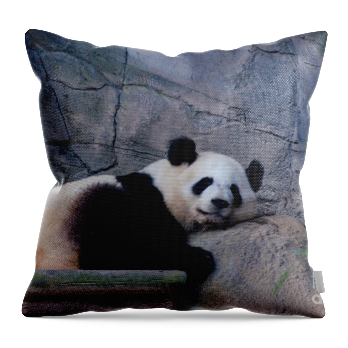 Giant Panda Throw Pillow featuring the photograph Giant Panda by Donna Brown