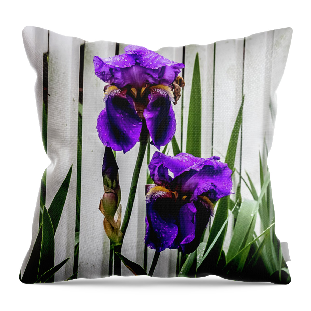 Iris Throw Pillow featuring the digital art Giant Purple Iris by Ed Stines