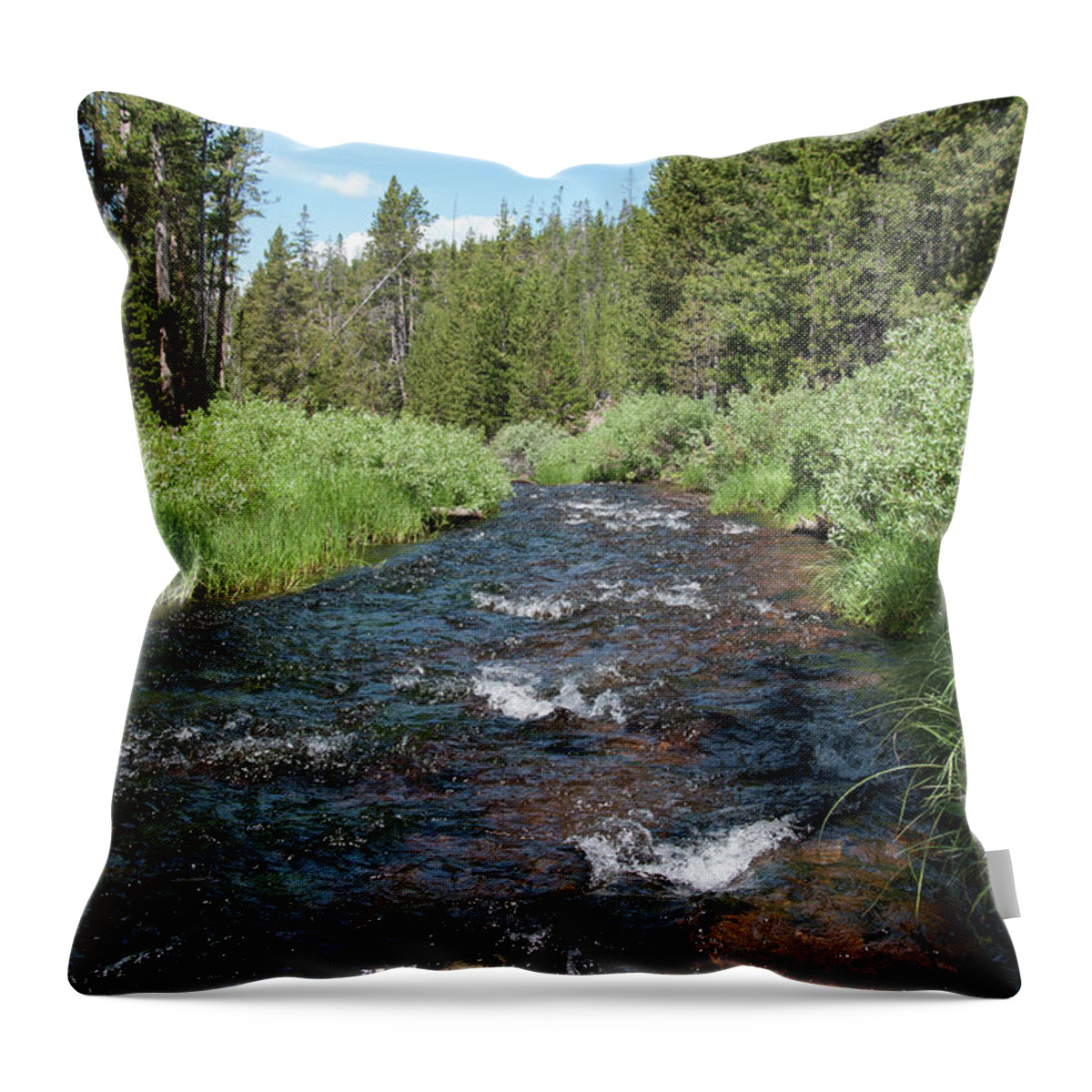 River Throw Pillow featuring the photograph Gibbon River by Frank Madia