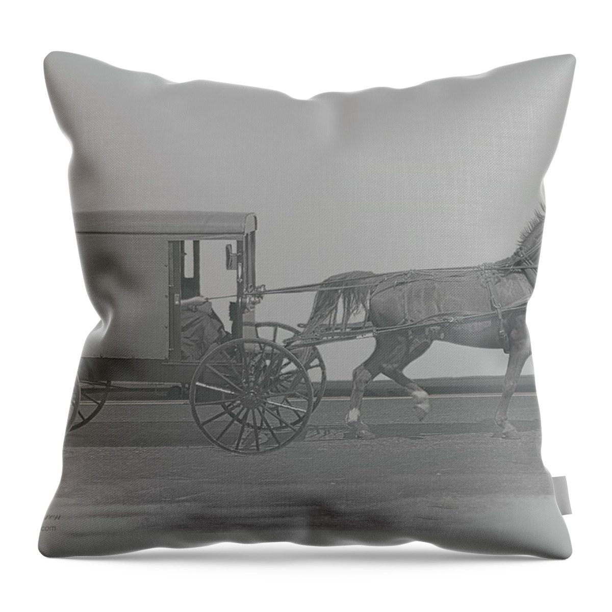 Horse Throw Pillow featuring the photograph Giddy-up in b/w by Dyle Warren