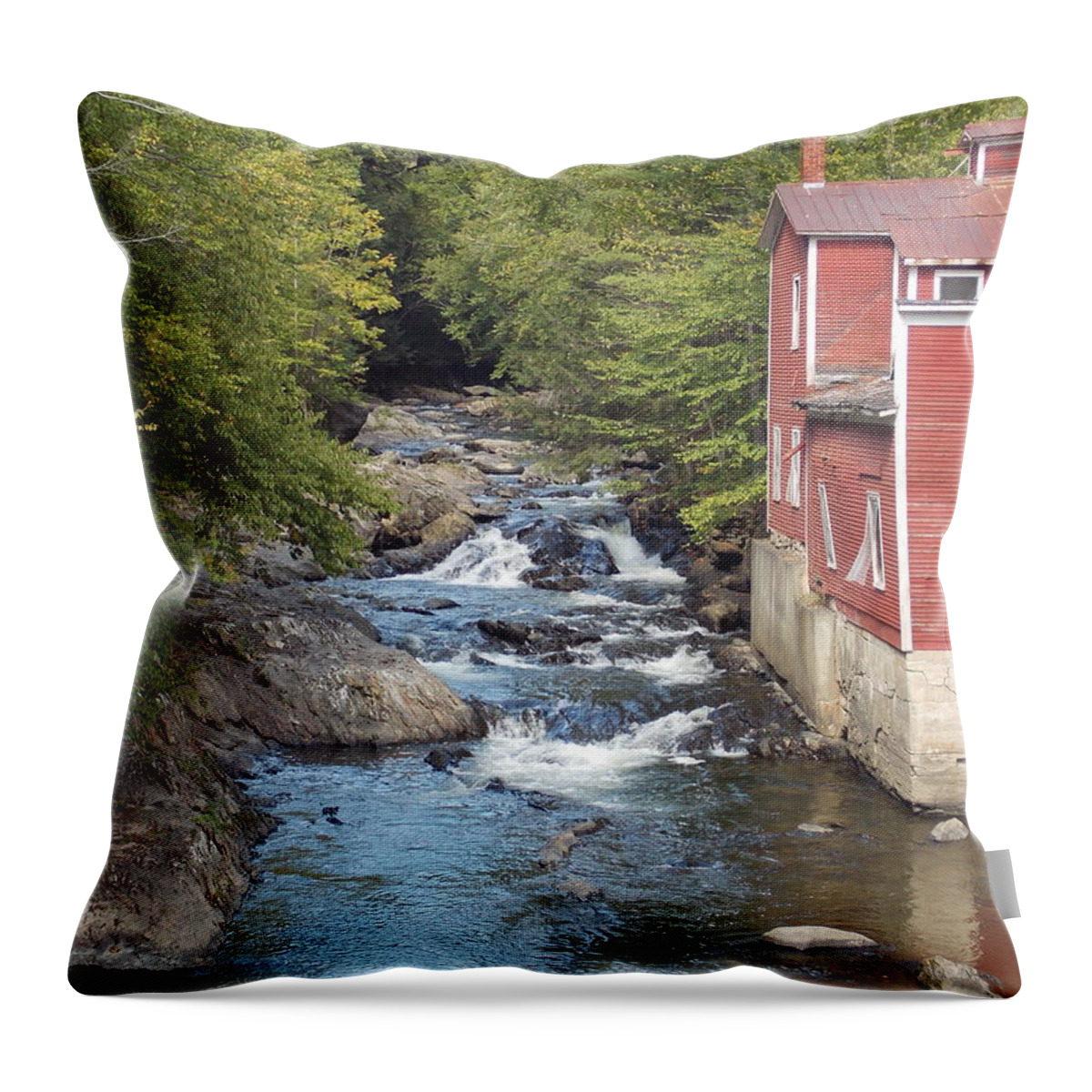 Gihone River Throw Pillow featuring the photograph Gihon River by Catherine Gagne